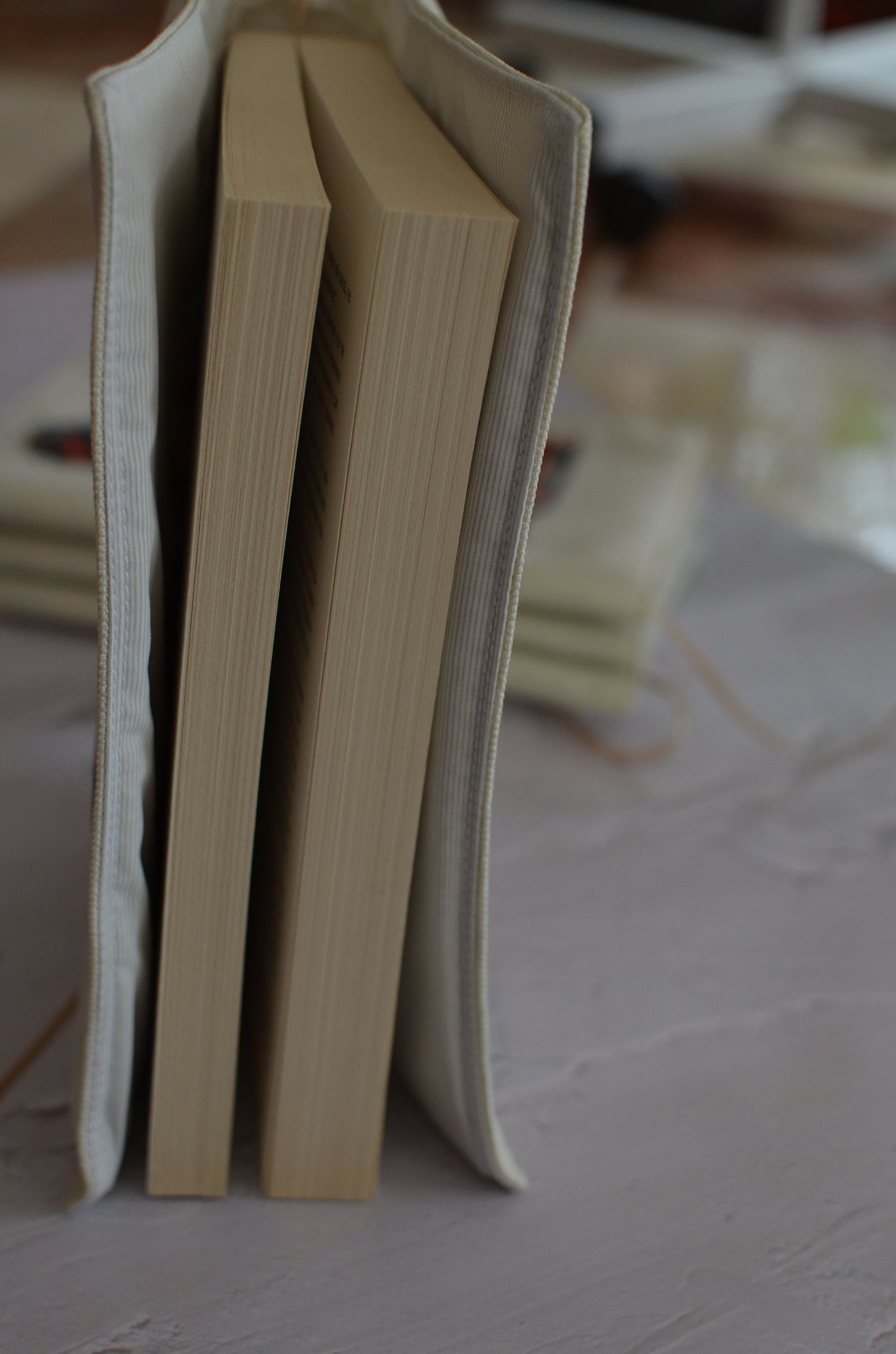 Подвързия "Момиче с книги"